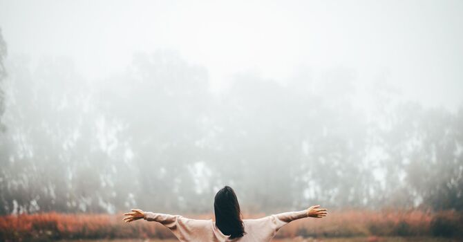 Wellness Services